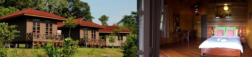 When you have booked a trip to Borneo, one thing that you will need to take into consideration is where you are going to stay. There are some amazing Borneo…